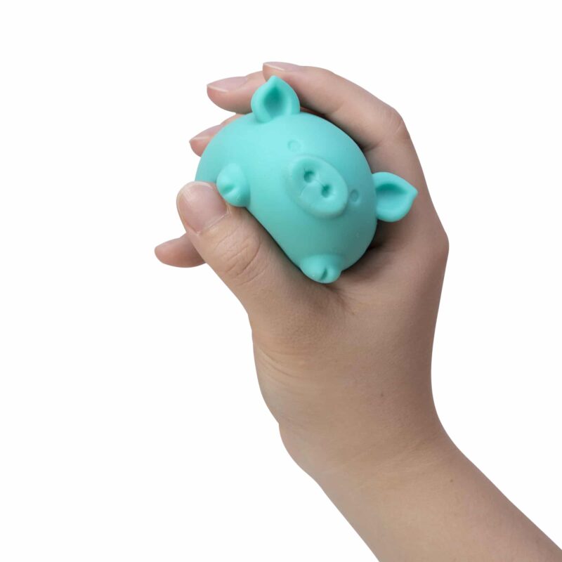 NeeDoh® Dig It Pig