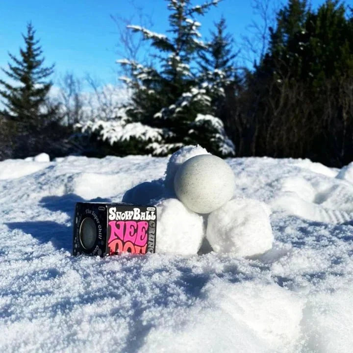 Snowball Crunch NeeDoh®